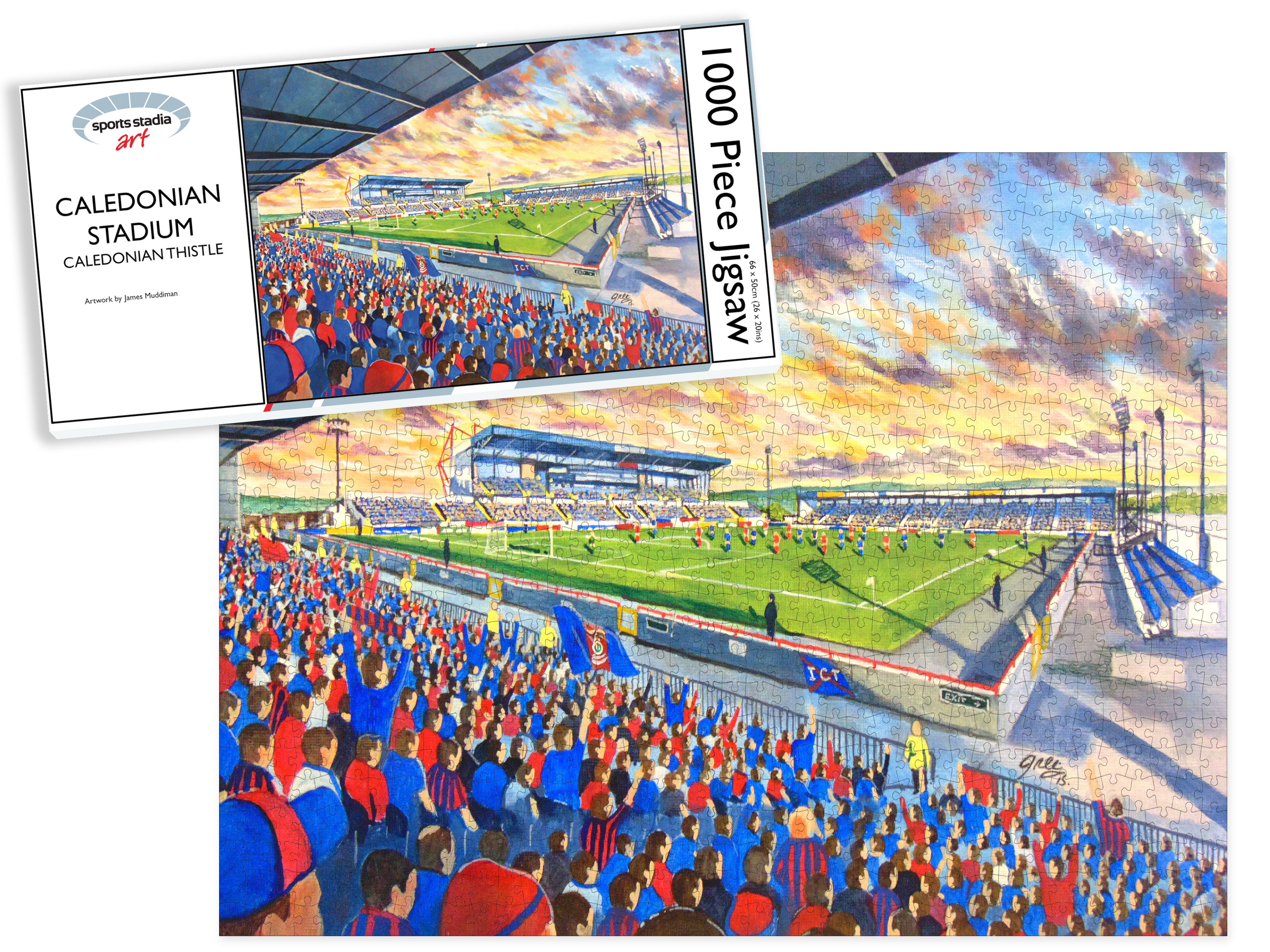 Caledonian Thistle FC Stadium Art Jigsaw Puzzle