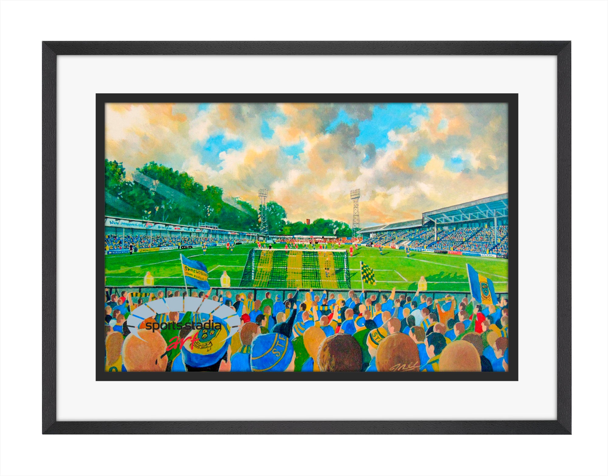 Shrewsbury Town FC Gay Meadow Stadium Wall Art A4 Print